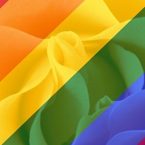 Meet your Posher, Dedra